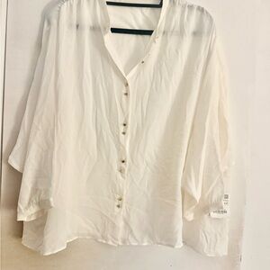 Zara Sheer Ivory Button-Front Oversized Blouse